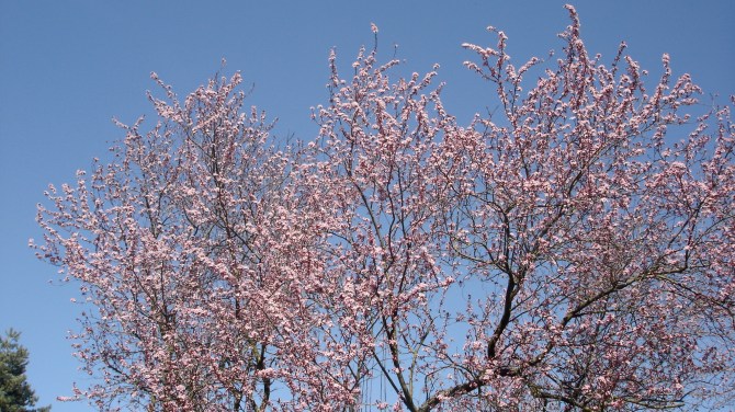 Thematic design –&nbsp;(1)