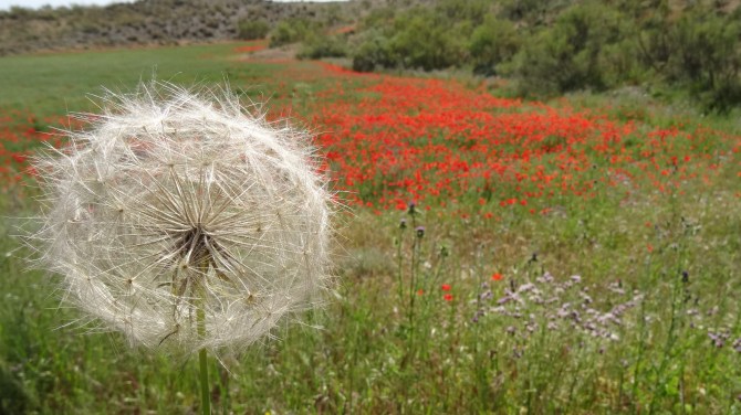 Auto Salon 2018 – brief&nbsp;look