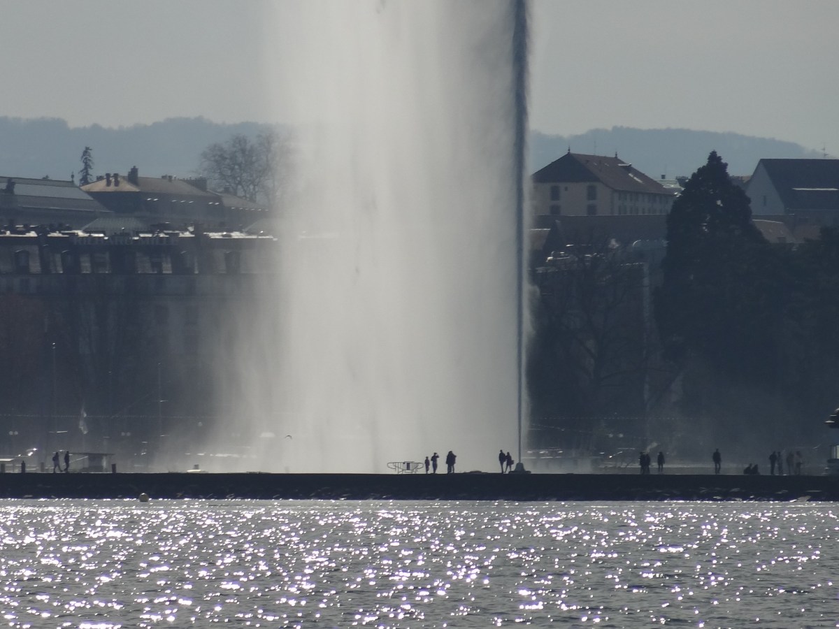 Salon de l’auto&nbsp;2014