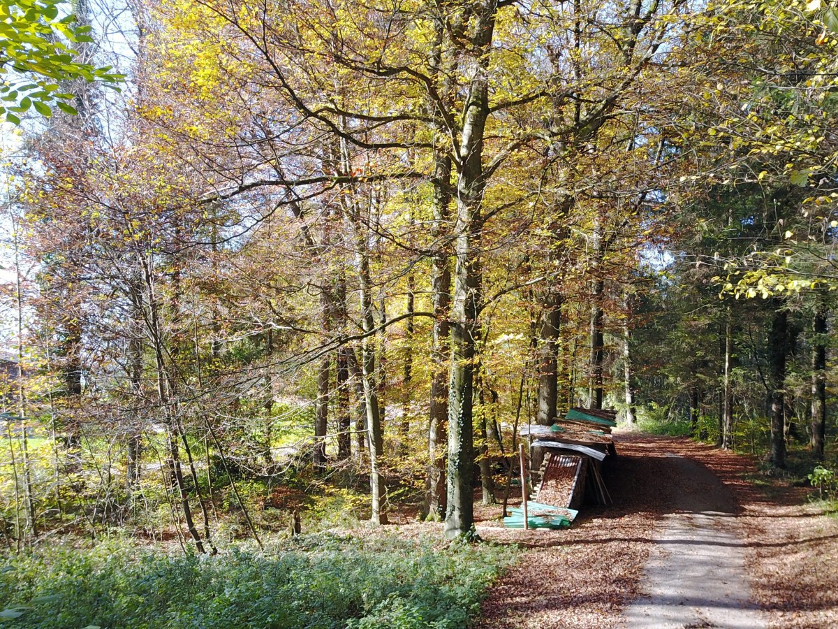 No more car – change of&nbsp;life