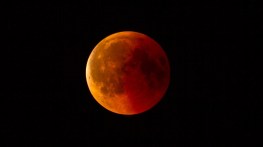 lunar-eclipse-3568801_1920