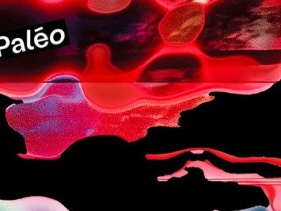 50th Nyon Paléo&nbsp;2026